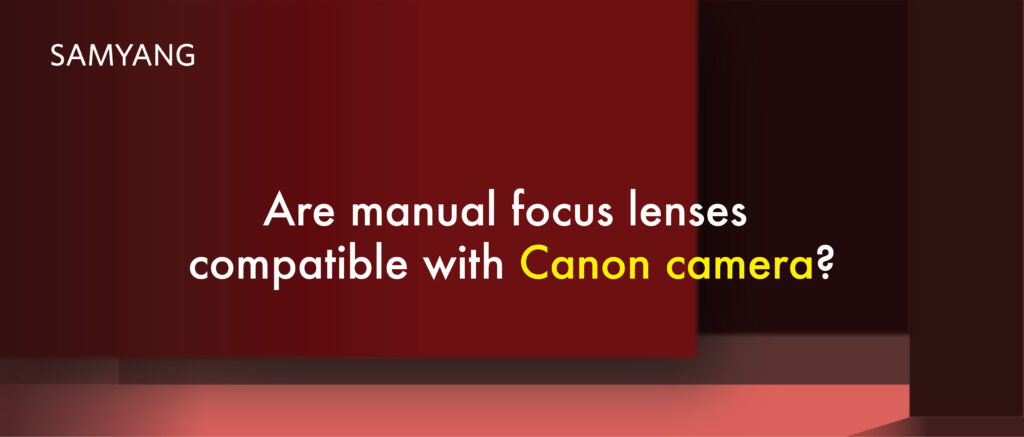 manual focus lenses