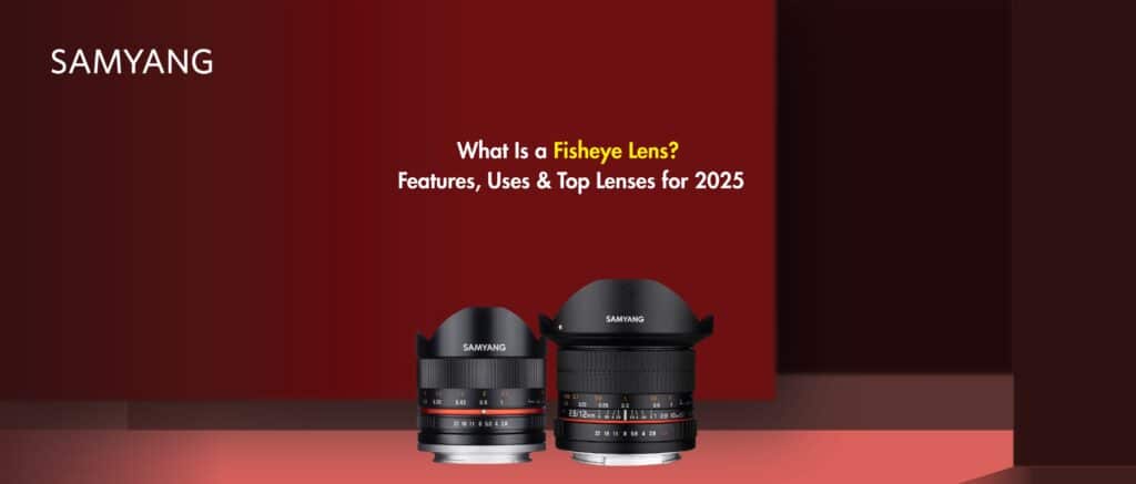 What Is a Fisheye Lens? Features, Uses & Top Lenses for 2025