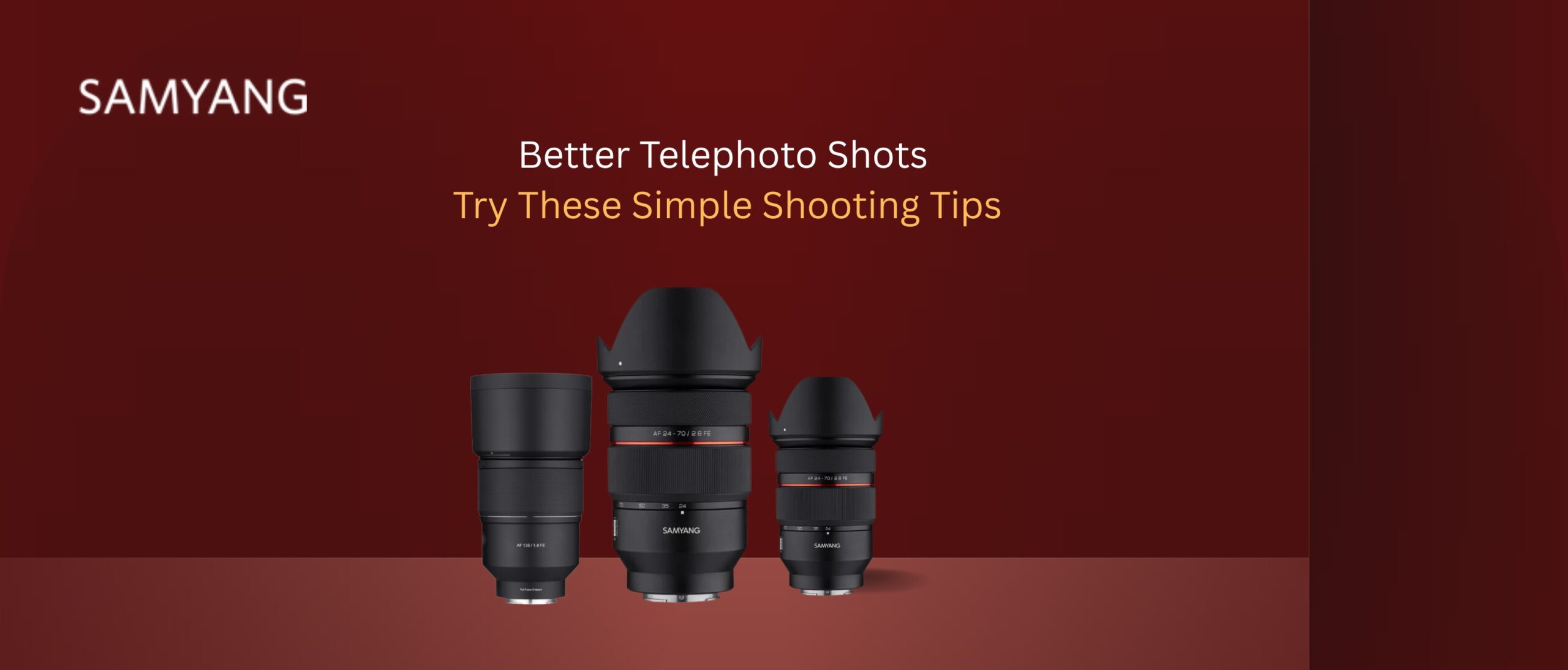 Better Telephoto Shots: Try These Simple Shooting Tips